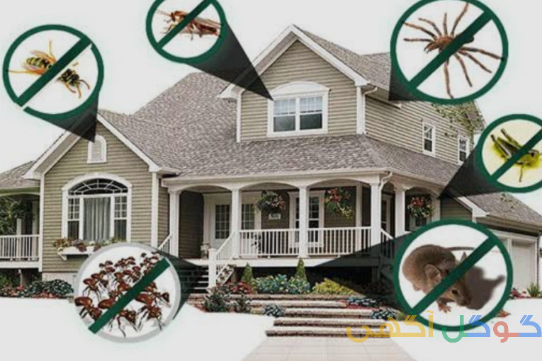 سمپاشی تهران و حومه ( کرج،شهریار،ورامین و..)