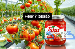 فروش رب گوجه فرنگی بابرند طاهارب تناژ بالا 