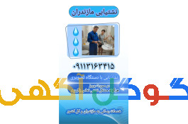 بهترین نشت یاب تصویری شبانه روزی۰۹۱۱۳۱۶۳۴۱۵