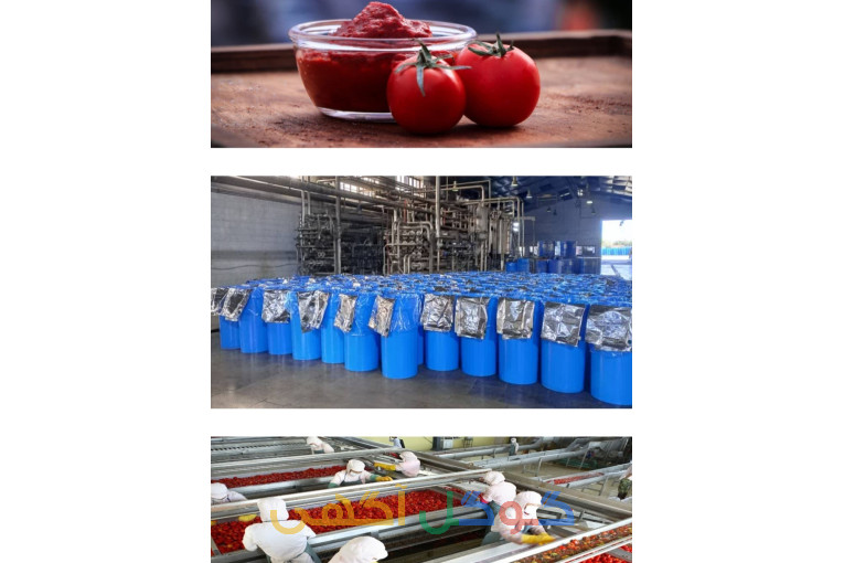 فروش رب گوجه فرنگی بابرند طاهارب تناژ بالا 