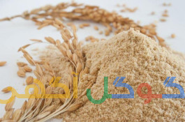 تولید پودر جوانه گندم 10 کیلو گرمی