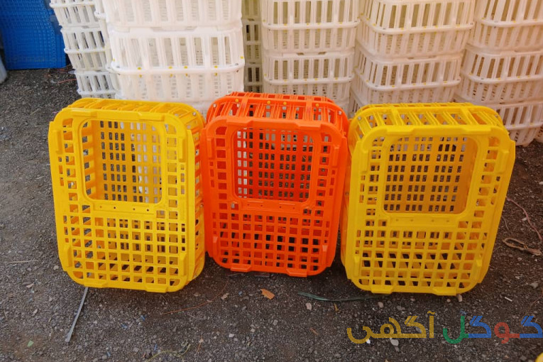 قفس و سبد حمل مرغ زنده