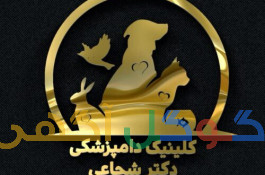 دامپزشک در خوانسار | پانسیون حیوانات خانگی در خوانسار