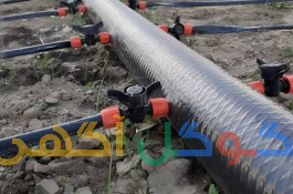 نوارتیپ و لوله نخدار