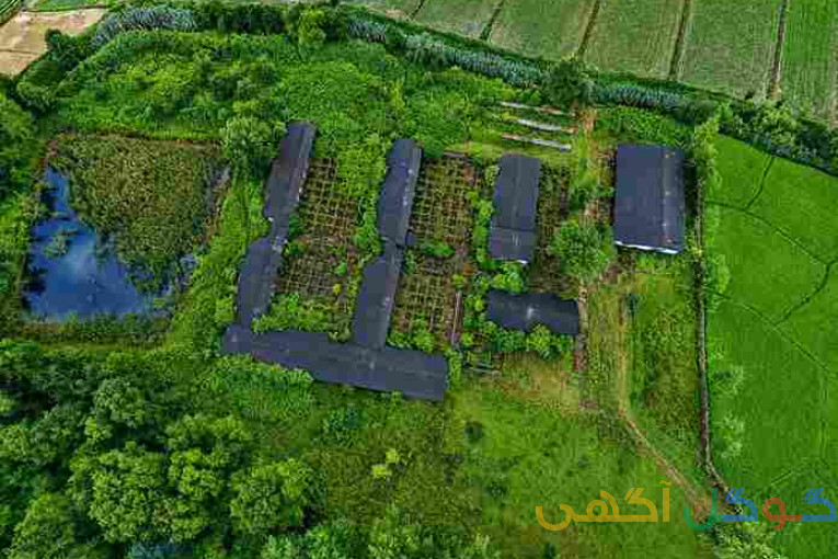فروش 4 هکتار زمین مناسب فعالیت صنعتی و کشاورزی دارای سوله و برق