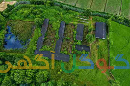 فروش 4 هکتار زمین مناسب فعالیت صنعتی و کشاورزی دارای سوله و برق