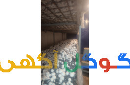  فروش قارچ  دکمه ای  عمده. در همدان 