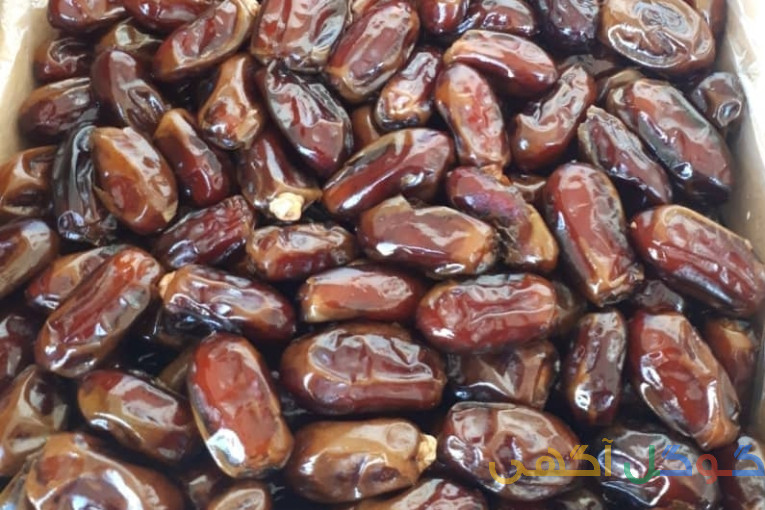 تولید و بسته بندی خرما (شرکت تعاونی ایلیا صنعت)