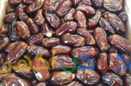 تولید و بسته بندی خرما (شرکت تعاونی ایلیا صنعت)