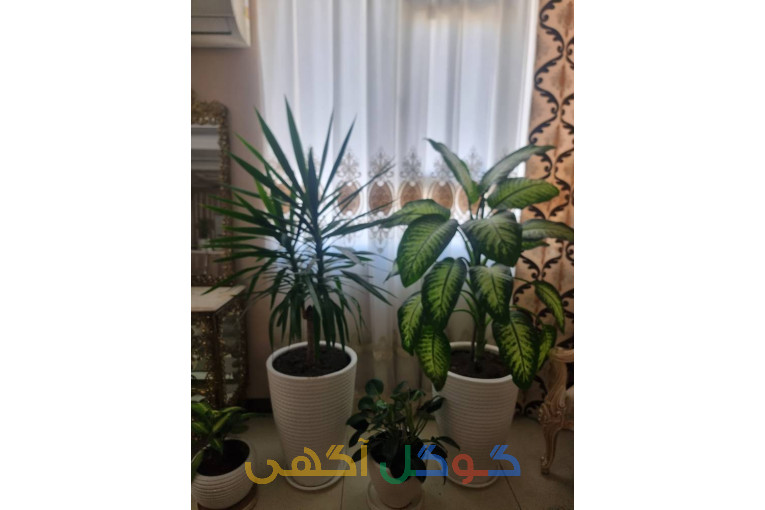 خدمات باغبانی گلکاری باغچه تعویض خاک گلدان سعادت آباد تهران 09196552511