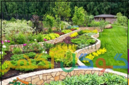 قیمت خاک شمس