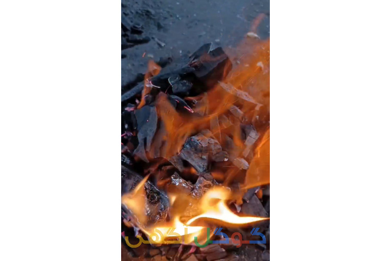 ذغال خودسوز