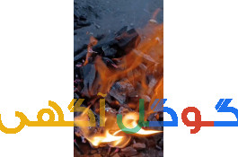 ذغال خودسوز