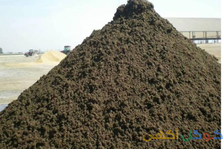 کودمرغی تخم گزار قفسی