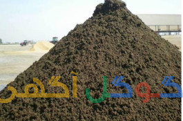 کودمرغی تخم گزار قفسی