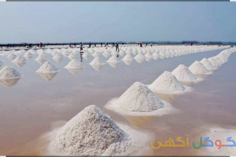 فروش عمده نمک . 