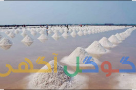 فروش عمده نمک . 